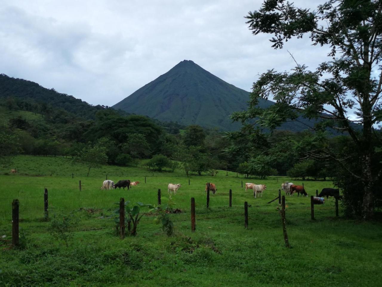 Lodge Tio Felix Eco