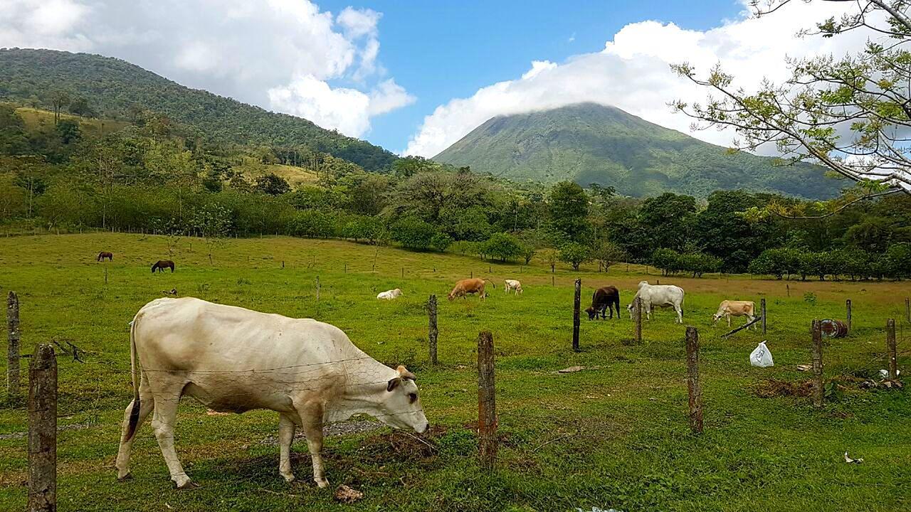Tio Felix Eco Lodge La Fortuna