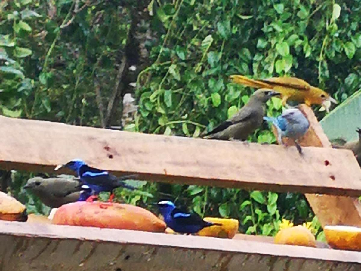 Tio Felix Eco Lodge La Fortuna